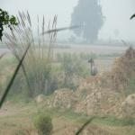 Vraj-Yatra-2014- (1407)